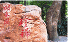 珍稀树木园