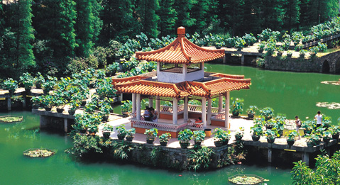 水生植物区