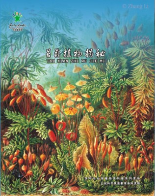 苔藓植物揭秘
