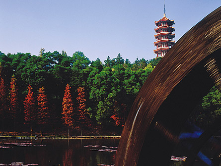 桫椤湖
