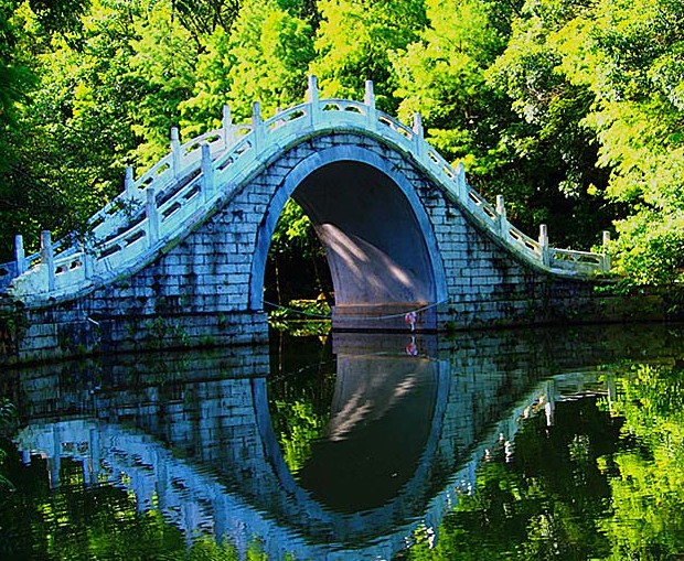 仙湖倒影