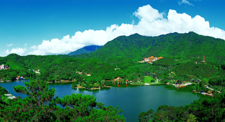 Shenzhen Fairy Lake Botanical Garden