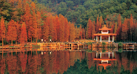 Shenzhen Fairy Lake Botanical Garden